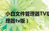 小白文件管理器TV版使用方法（小白文件管理器tv版）