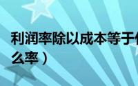 利润率除以成本等于什么（利润除以成本是什么率）