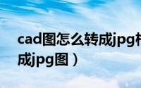 cad图怎么转成jpg格式（怎么把cad图转换成jpg图）