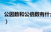 公因数和公倍数有什么区别（公因数和公倍数）