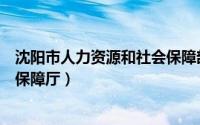 沈阳市人力资源和社会保障部官网（沈阳市人力资源和社会保障厅）