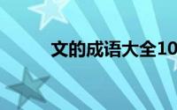 文的成语大全100个（文的成语）