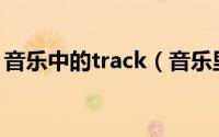 音乐中的track（音乐里的Track是什么意思）