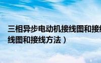 三相异步电动机接线图和接线方法实操（三相异步电动机接线图和接线方法）