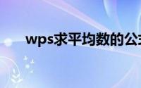 wps求平均数的公式（平均数的公式）