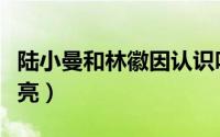 陆小曼和林徽因认识吗（陆小曼和林徽因谁漂亮）