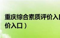 重庆综合素质评价入口平台（重庆综合素质评价入口）