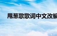 甩葱歌歌词中文改编（甩葱歌歌词中文）