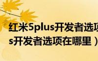 红米5plus开发者选项在哪里打开（红米5plus开发者选项在哪里）