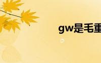 gw是毛重吗（gw）