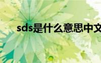 sds是什么意思中文（sds是什么意思）