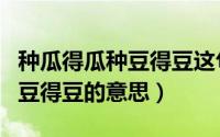 种瓜得瓜种豆得豆这句话的意思（种瓜得瓜种豆得豆的意思）