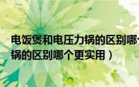 电饭煲和电压力锅的区别哪个更实用一点（电饭煲和电压力锅的区别哪个更实用）