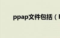 ppap文件包括（PPAP文件是什么）