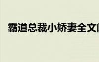 霸道总裁小娇妻全文阅读（总裁的小娇妻）