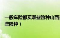 一般车险都买哪些险种山西省险察委员会（一般车险都买哪些险种）