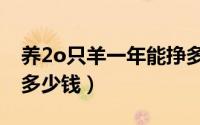 养2o只羊一年能挣多少钱（养20头羊一年赚多少钱）