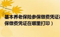 基本养老保险参保缴费凭证在哪里打印啊（基本养老保险参保缴费凭证在哪里打印）