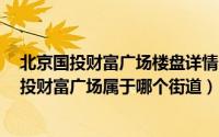 北京国投财富广场楼盘详情（北京市丰台区广安路9号院国投财富广场属于哪个街道）