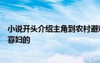 小说开头介绍主角到农村避难房东是两位美女隔壁住着一个寡妇的