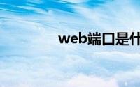 web端口是什么（web端）