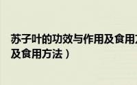 苏子叶的功效与作用及食用方法视频（苏子叶的功效与作用及食用方法）