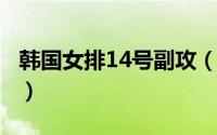 韩国女排14号副攻（2015韩国女排13号球员）