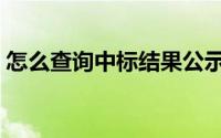 怎么查询中标结果公示（怎么查询中标结果）