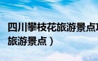 四川攀枝花旅游景点攻略一日游（四川攀枝花旅游景点）