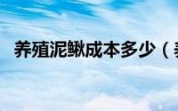 养殖泥鳅成本多少（养泥鳅一亩投入利润）