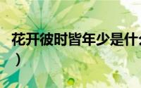 花开彼时皆年少是什么意思（花开彼年爱成殇）