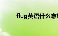 flug英语什么意思（flog的意思）