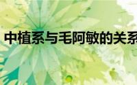 中植系与毛阿敏的关系（中植系指的是什么）