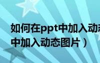 如何在ppt中加入动态图片文字（如何在ppt中加入动态图片）