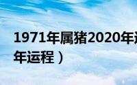 1971年属猪2020年运势（1971年属猪2020年运程）