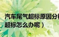 汽车尾气超标原因分析与解决办法（汽车尾气超标怎么办呢）