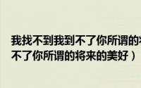 我找不到我到不了你所谓的将来的美好句子（我找不到我到不了你所谓的将来的美好）