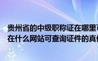 贵州省的中级职称证在哪里可以查询（贵州省中级职称证书在什么网站可查询证件的真伪）