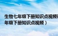 生物七年级下册知识点视频讲解人体内的物质运输（生物七年级下册知识点视频）