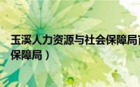 玉溪人力资源与社会保障局官网查询（玉溪人力资源与社会保障局）