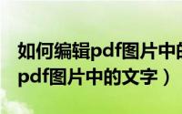 如何编辑pdf图片中的文字和文字（如何编辑pdf图片中的文字）