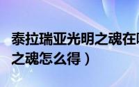 泰拉瑞亚光明之魂在哪里获得（泰拉瑞亚光明之魂怎么得）