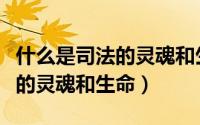 什么是司法的灵魂和生命单选题（什么是司法的灵魂和生命）