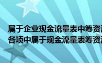 属于企业现金流量表中筹资活动产生的现金流量的有（下列各项中属于现金流量表筹资活动产生的现金流量的是）