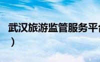 武汉旅游监管服务平台（武汉旅游政务网官网）