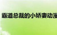 霸道总裁的小娇妻动漫（霸道总裁的小娇妻）