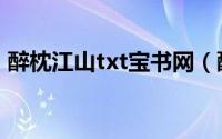 醉枕江山txt宝书网（醉枕江山txt全集下载）