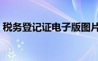 税务登记证电子版图片（税务登记证电子版）