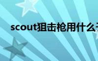 scout狙击枪用什么子弹（scout狙击枪）