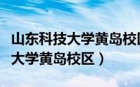 山东科技大学黄岛校区录取分数线（山东科技大学黄岛校区）